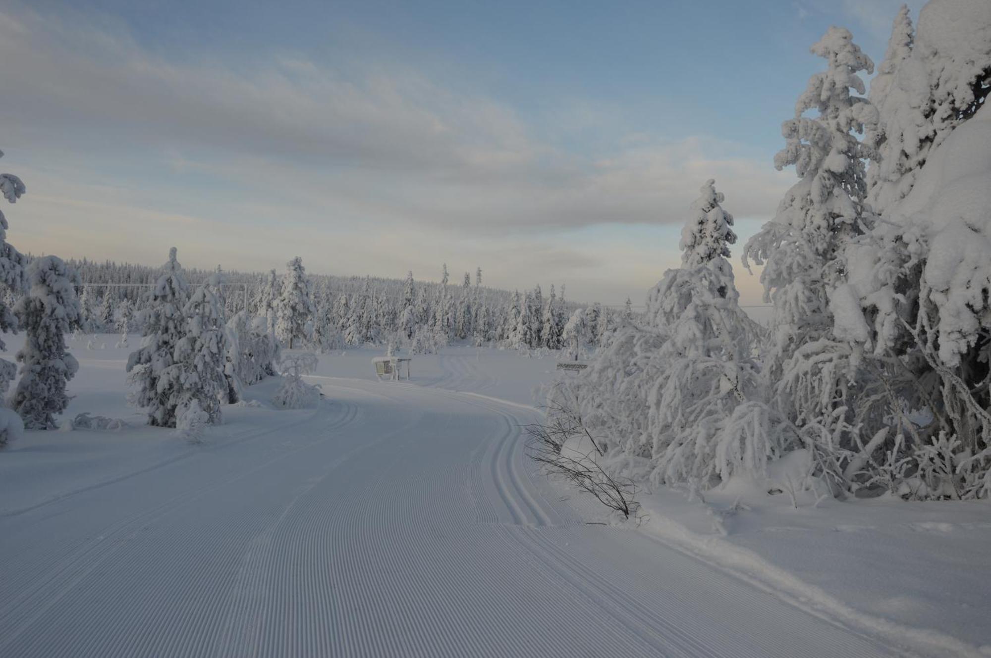 14 - Fulufjellets Nasjonalparker - Natur-, Dyre- Og Fugleopplevelser Trysil Εξωτερικό φωτογραφία