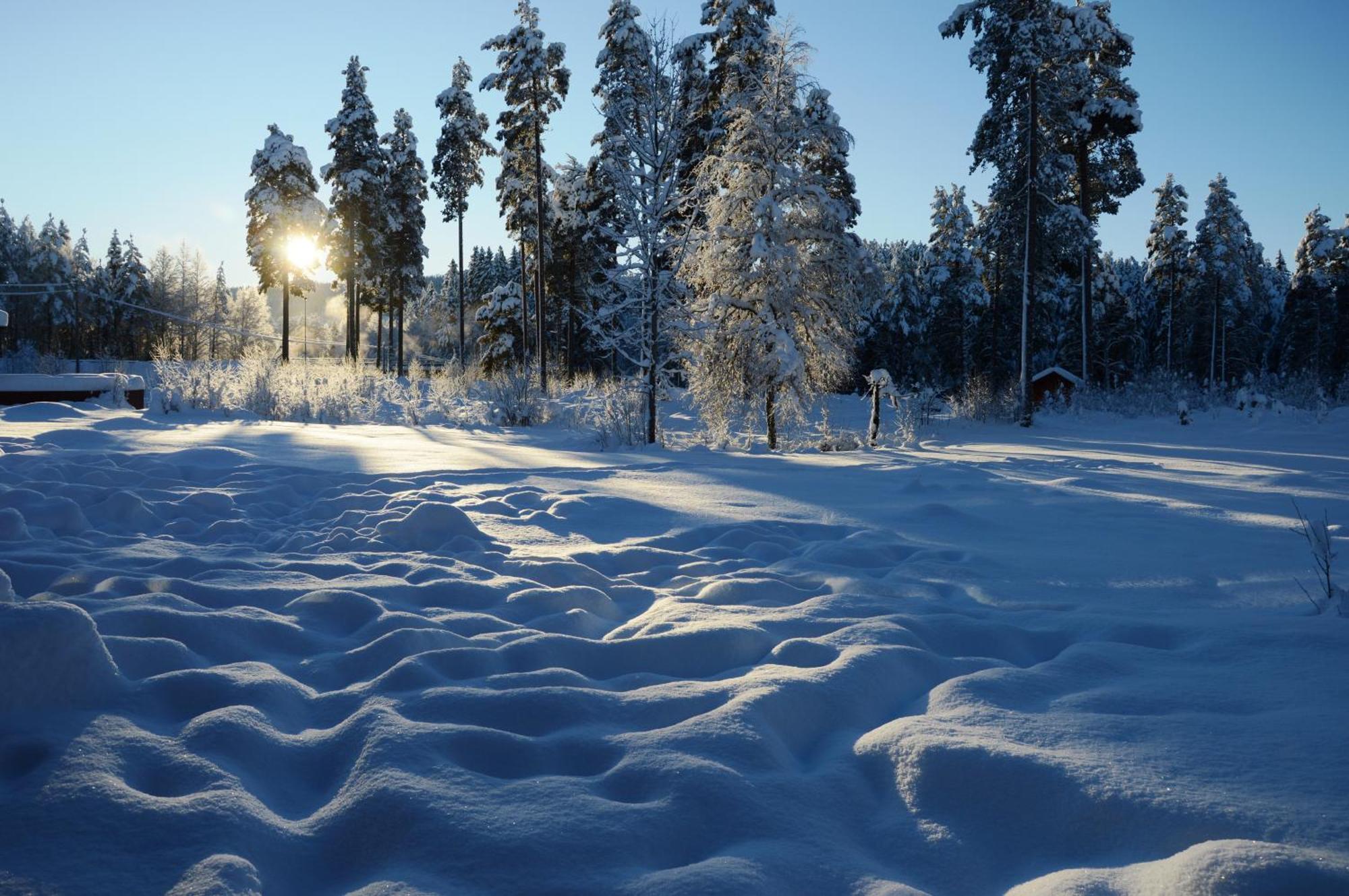 14 - Fulufjellets Nasjonalparker - Natur-, Dyre- Og Fugleopplevelser Trysil Εξωτερικό φωτογραφία