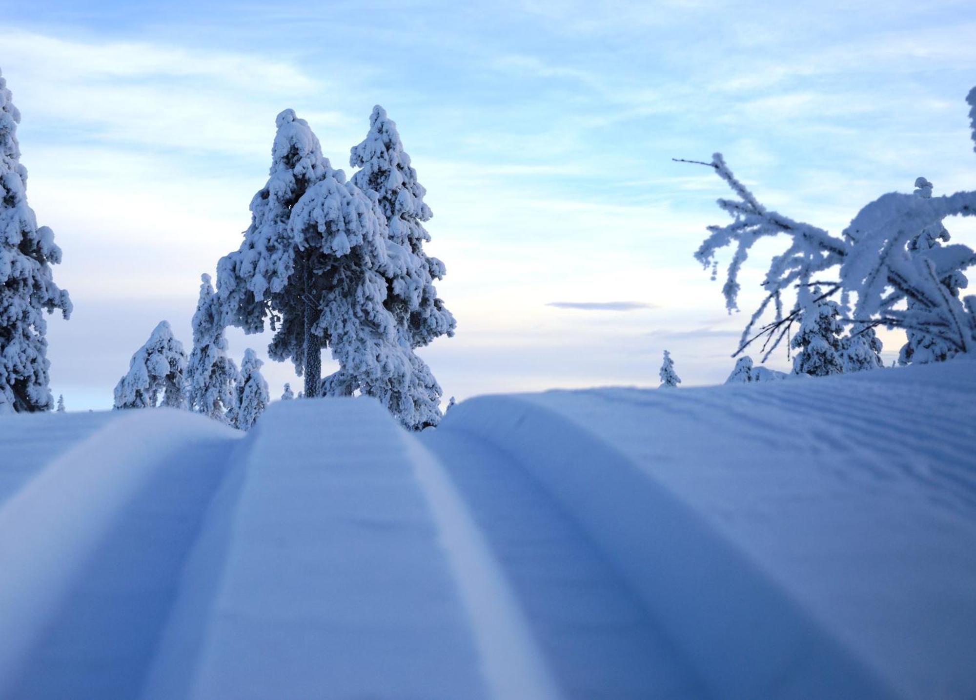 14 - Fulufjellets Nasjonalparker - Natur-, Dyre- Og Fugleopplevelser Trysil Εξωτερικό φωτογραφία