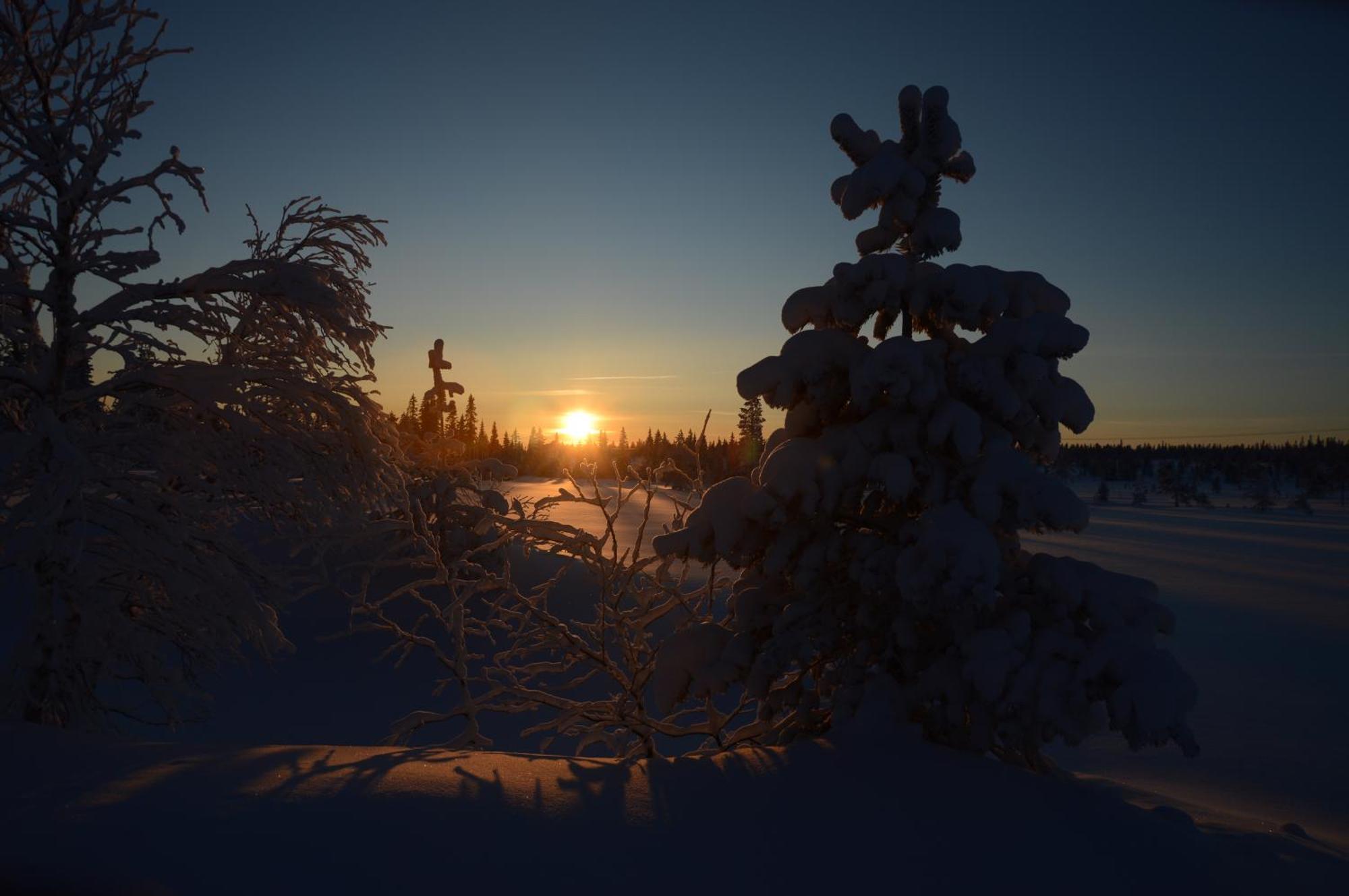 14 - Fulufjellets Nasjonalparker - Natur-, Dyre- Og Fugleopplevelser Trysil Εξωτερικό φωτογραφία
