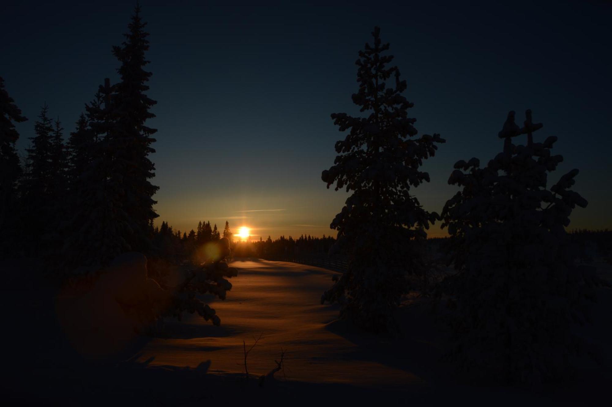 14 - Fulufjellets Nasjonalparker - Natur-, Dyre- Og Fugleopplevelser Trysil Εξωτερικό φωτογραφία