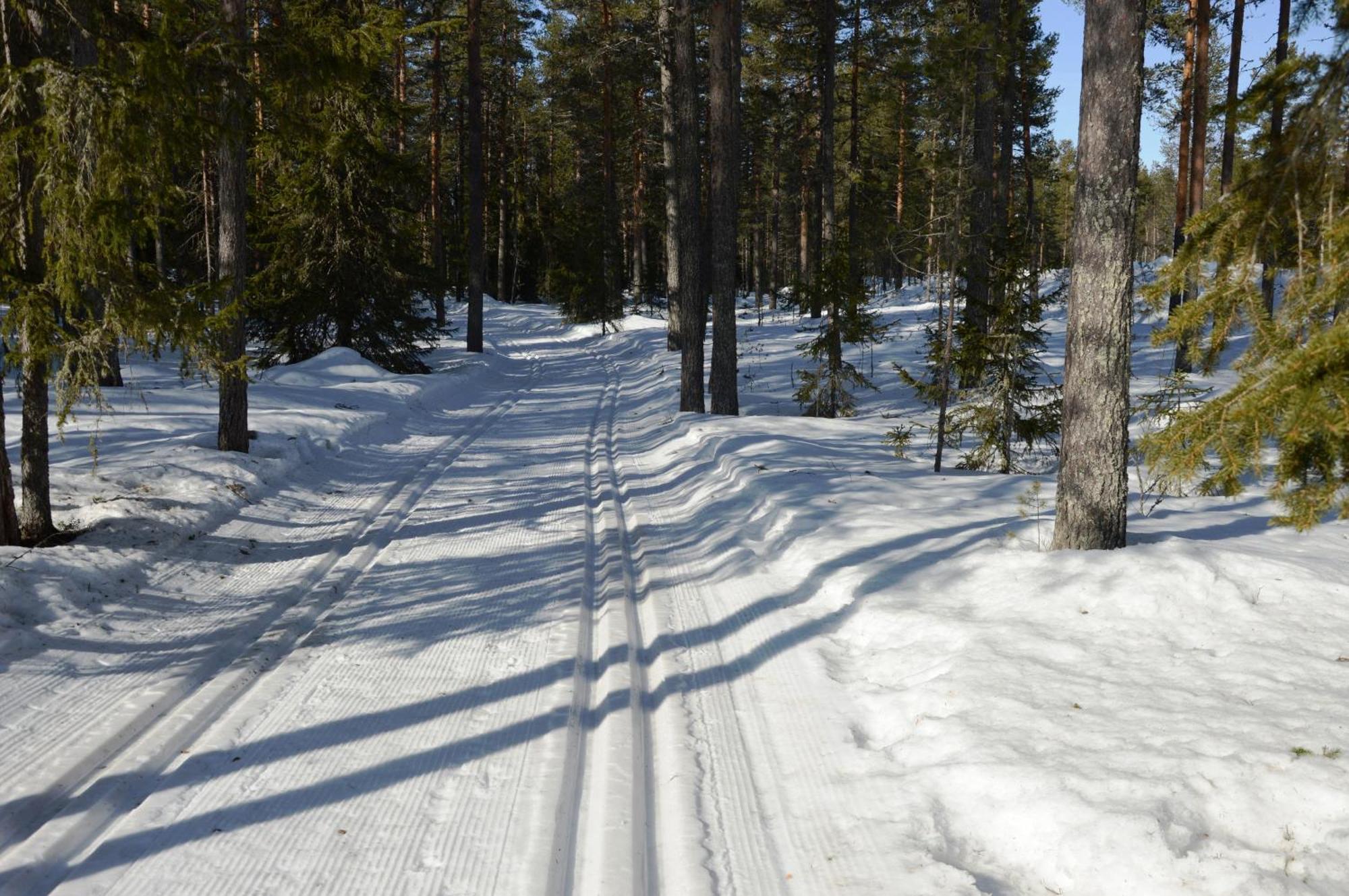 14 - Fulufjellets Nasjonalparker - Natur-, Dyre- Og Fugleopplevelser Trysil Εξωτερικό φωτογραφία