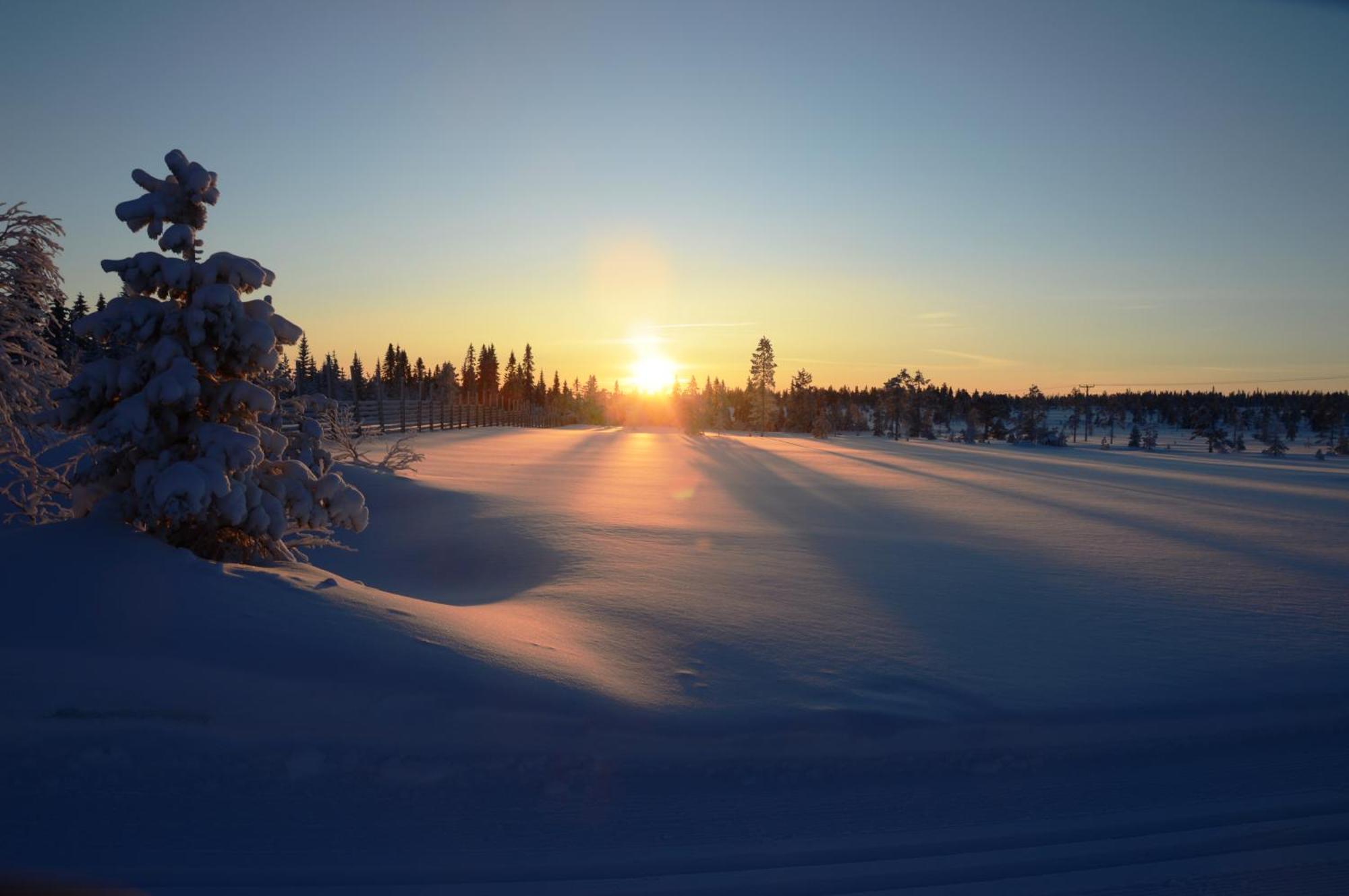 14 - Fulufjellets Nasjonalparker - Natur-, Dyre- Og Fugleopplevelser Trysil Εξωτερικό φωτογραφία