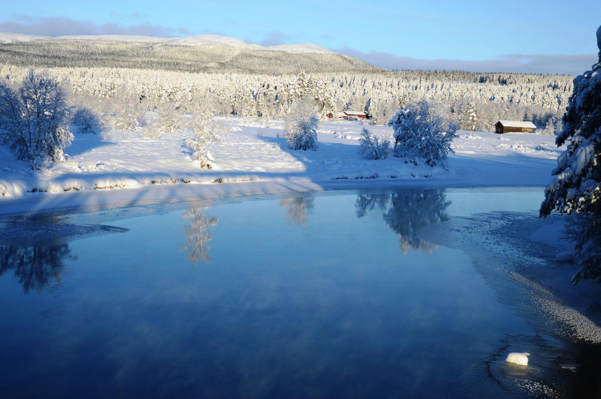 14 - Fulufjellets Nasjonalparker - Natur-, Dyre- Og Fugleopplevelser Trysil Εξωτερικό φωτογραφία