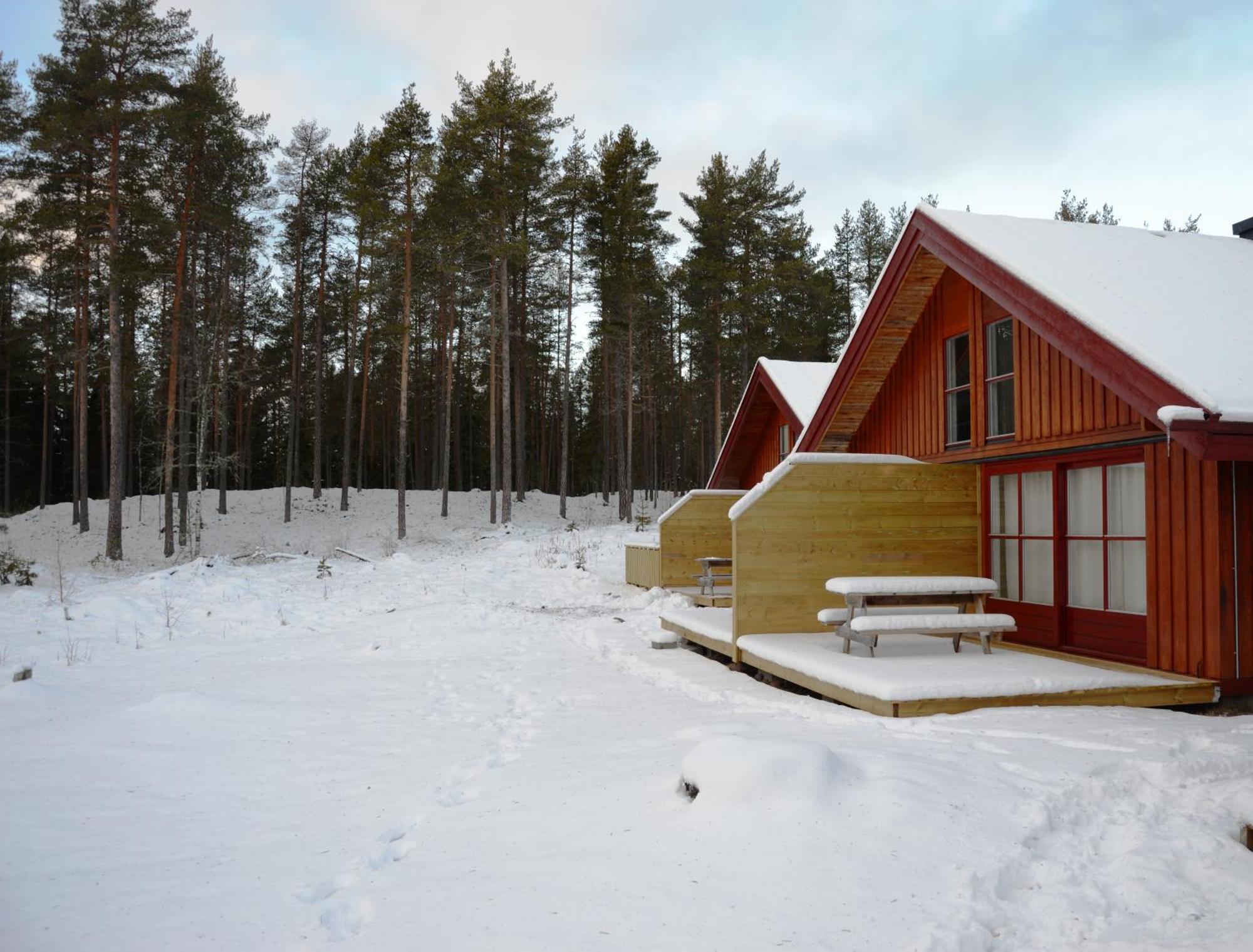 14 - Fulufjellets Nasjonalparker - Natur-, Dyre- Og Fugleopplevelser Trysil Εξωτερικό φωτογραφία