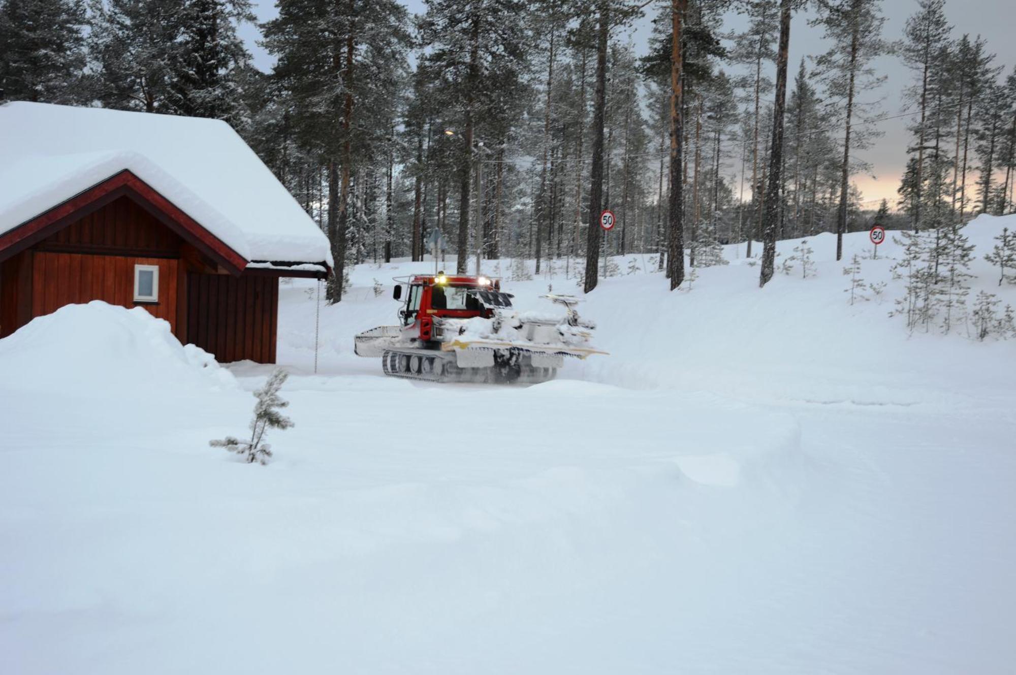 14 - Fulufjellets Nasjonalparker - Natur-, Dyre- Og Fugleopplevelser Trysil Εξωτερικό φωτογραφία