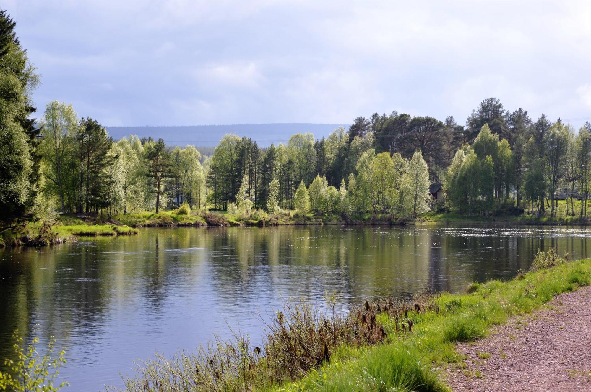 14 - Fulufjellets Nasjonalparker - Natur-, Dyre- Og Fugleopplevelser Trysil Εξωτερικό φωτογραφία