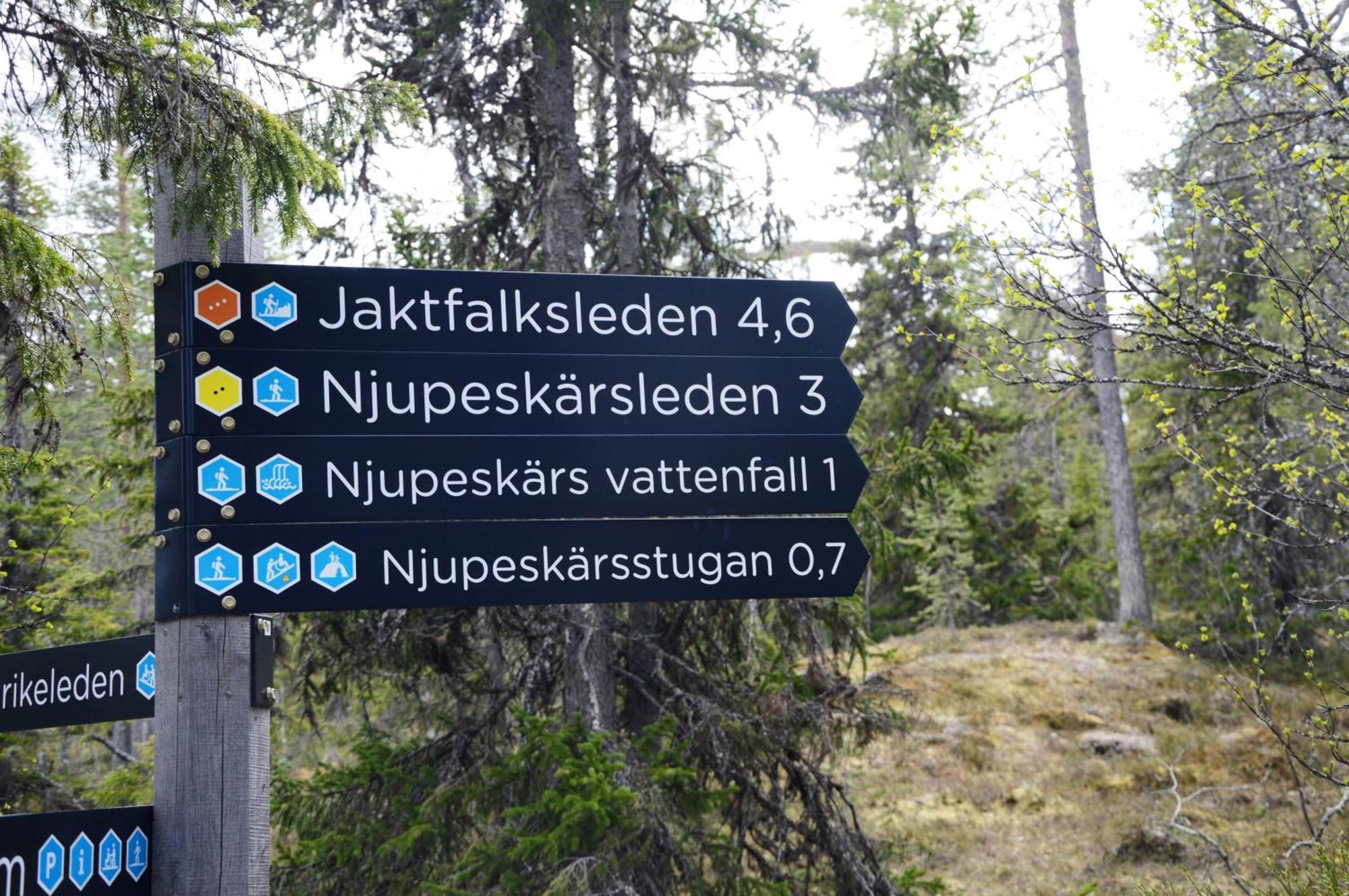 14 - Fulufjellets Nasjonalparker - Natur-, Dyre- Og Fugleopplevelser Trysil Εξωτερικό φωτογραφία