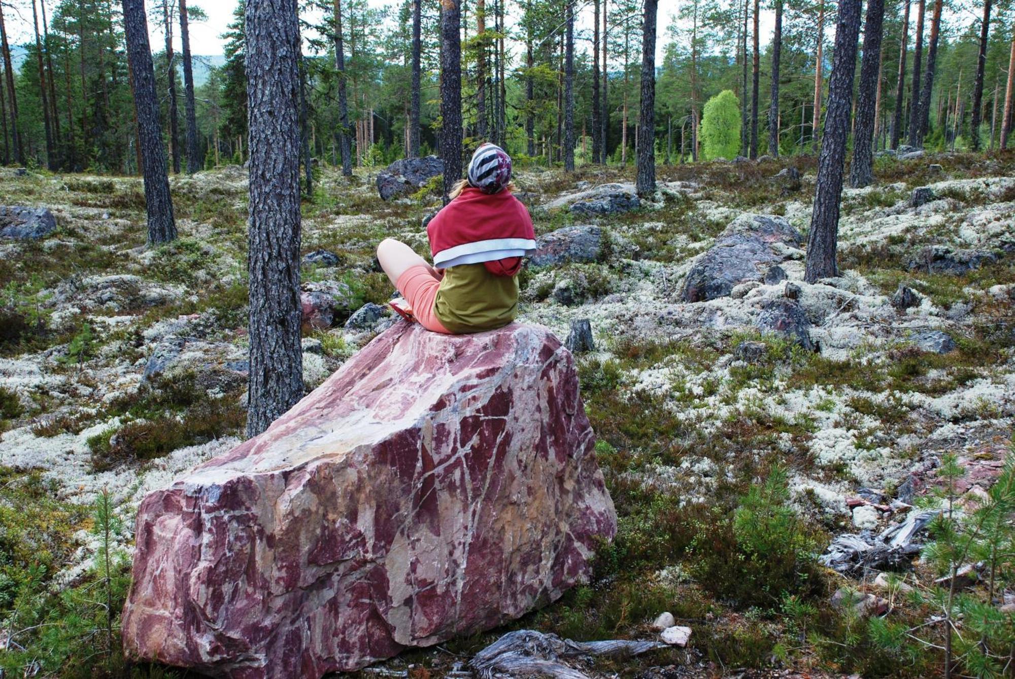 14 - Fulufjellets Nasjonalparker - Natur-, Dyre- Og Fugleopplevelser Trysil Εξωτερικό φωτογραφία