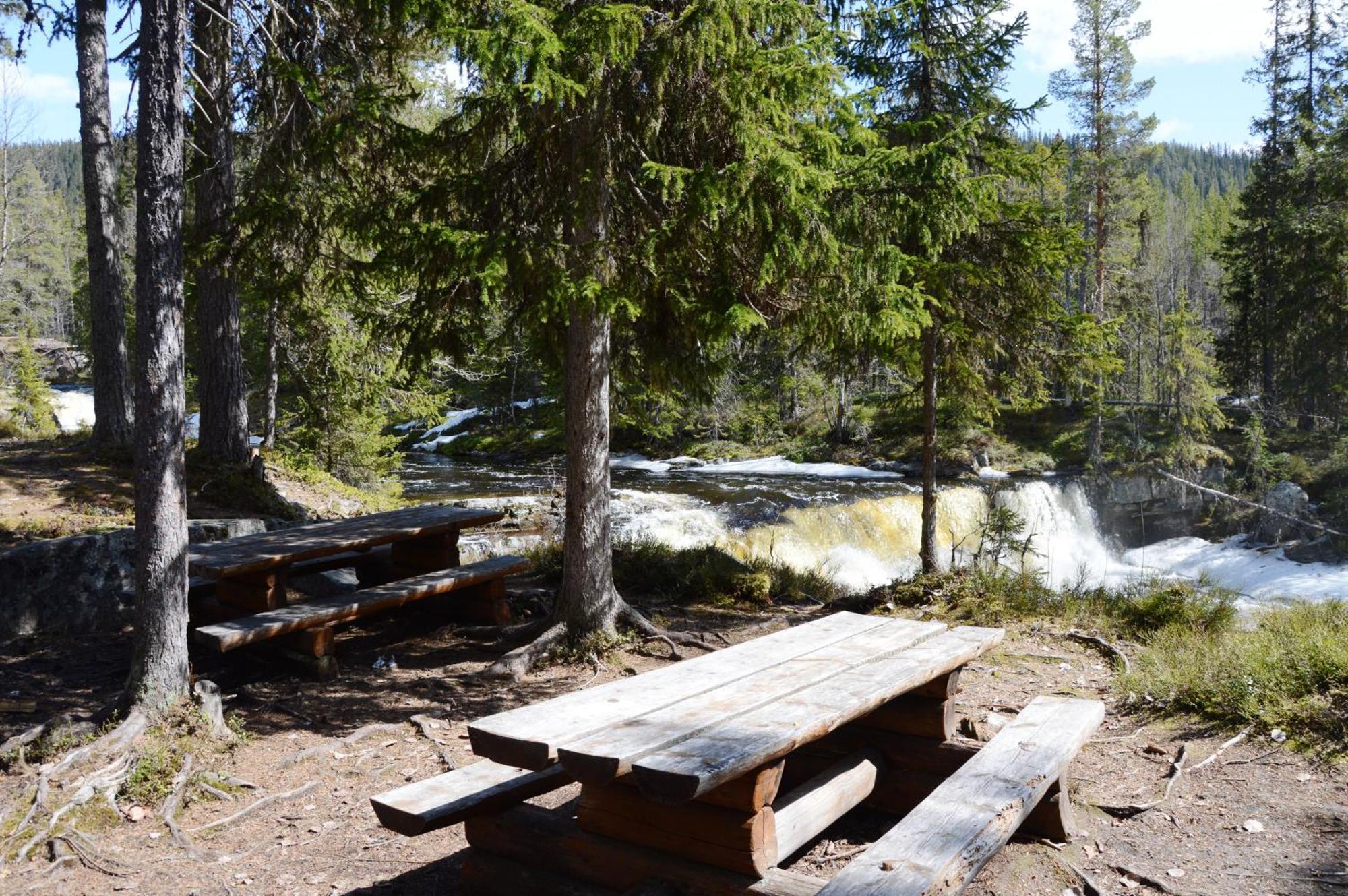 14 - Fulufjellets Nasjonalparker - Natur-, Dyre- Og Fugleopplevelser Trysil Εξωτερικό φωτογραφία