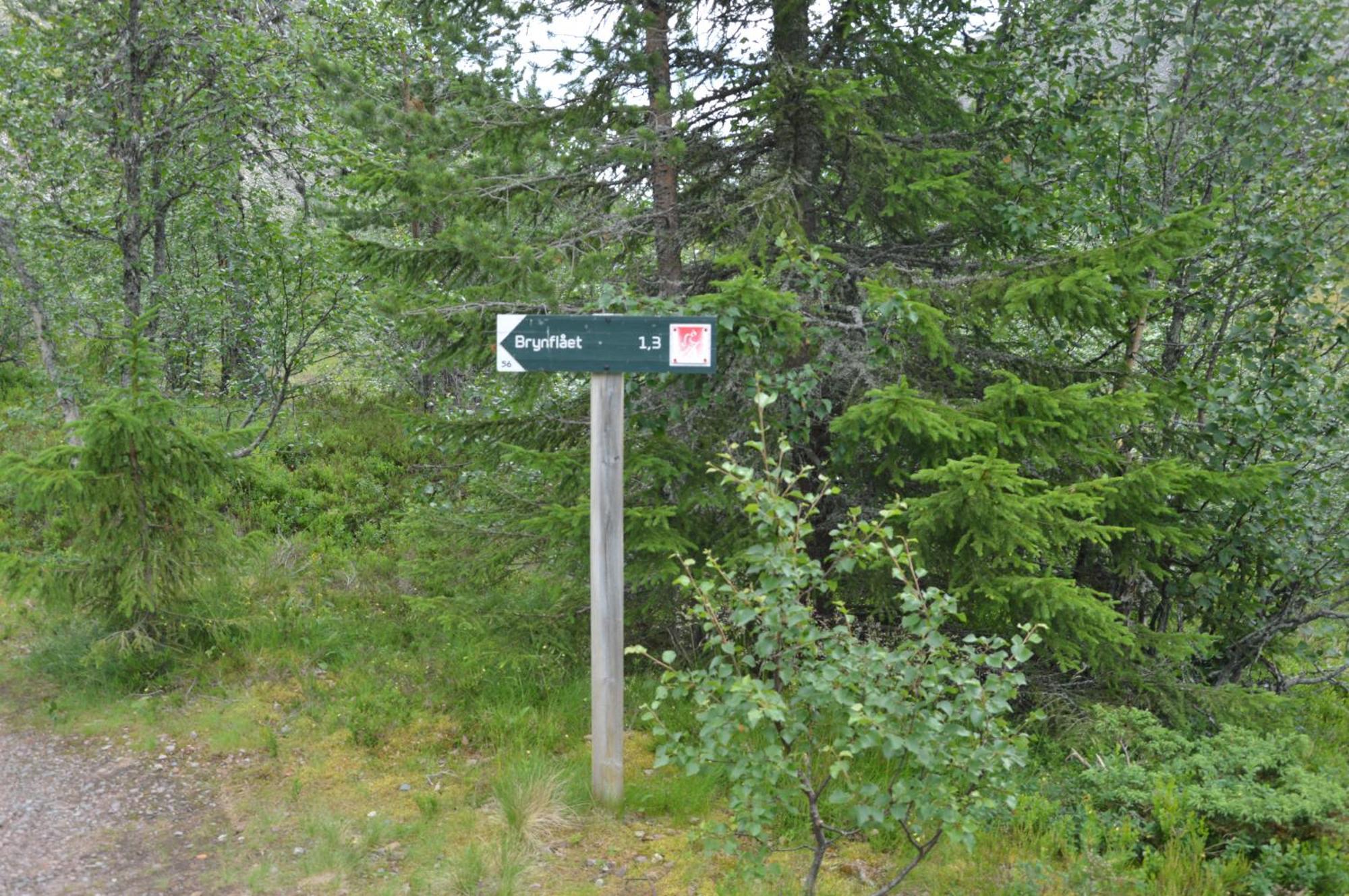 14 - Fulufjellets Nasjonalparker - Natur-, Dyre- Og Fugleopplevelser Trysil Εξωτερικό φωτογραφία