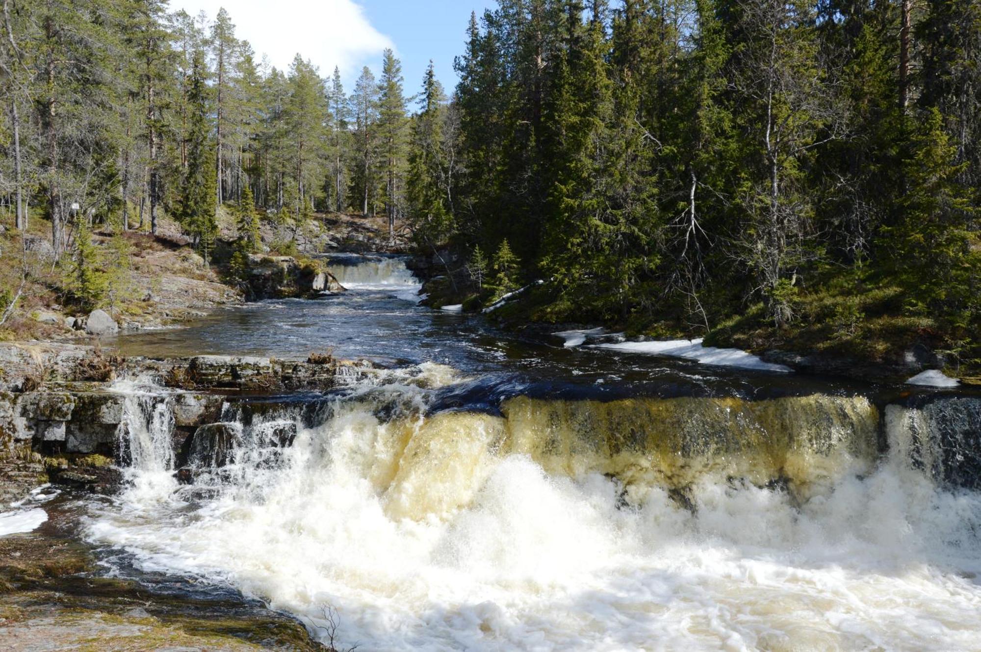 14 - Fulufjellets Nasjonalparker - Natur-, Dyre- Og Fugleopplevelser Trysil Εξωτερικό φωτογραφία
