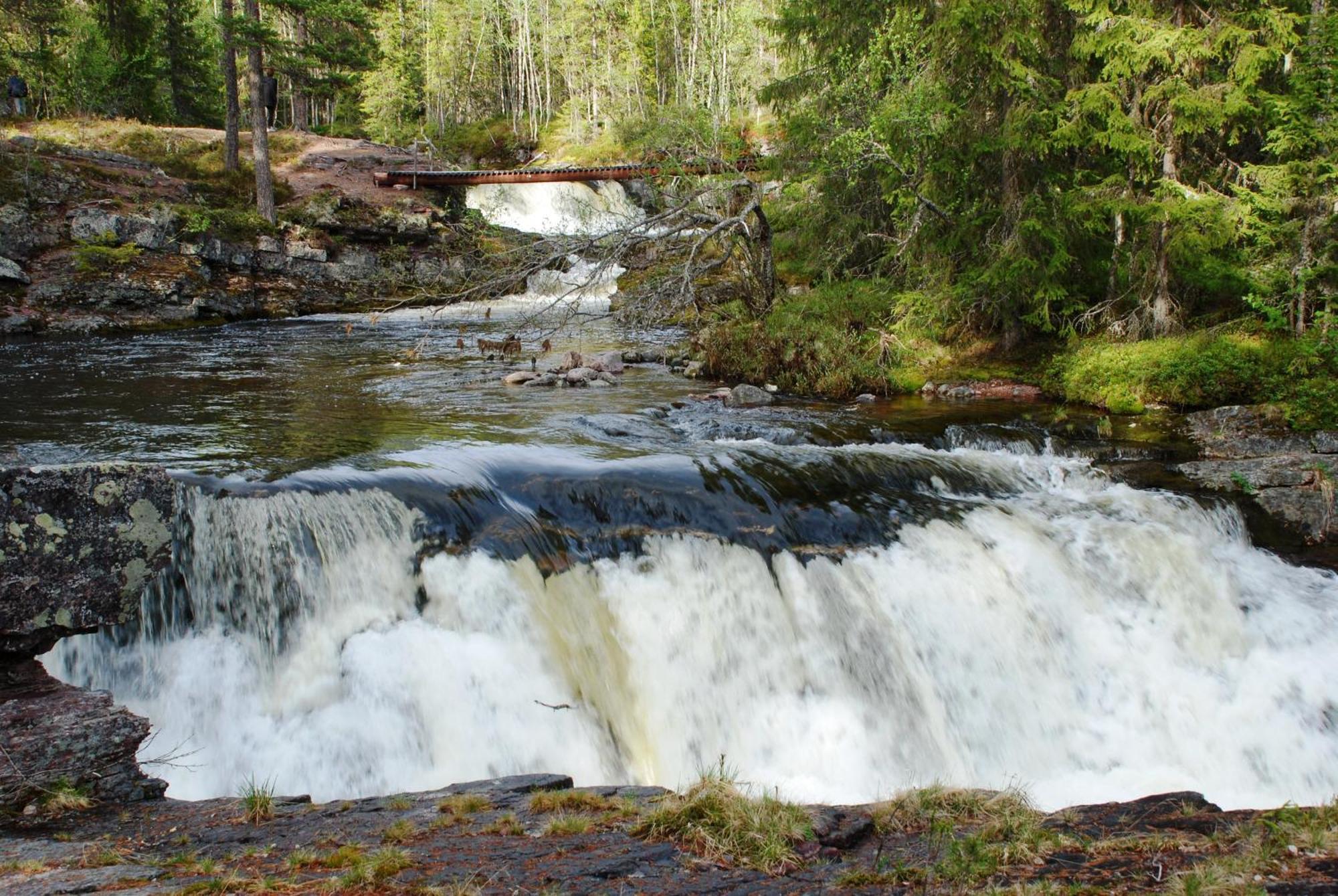 14 - Fulufjellets Nasjonalparker - Natur-, Dyre- Og Fugleopplevelser Trysil Εξωτερικό φωτογραφία